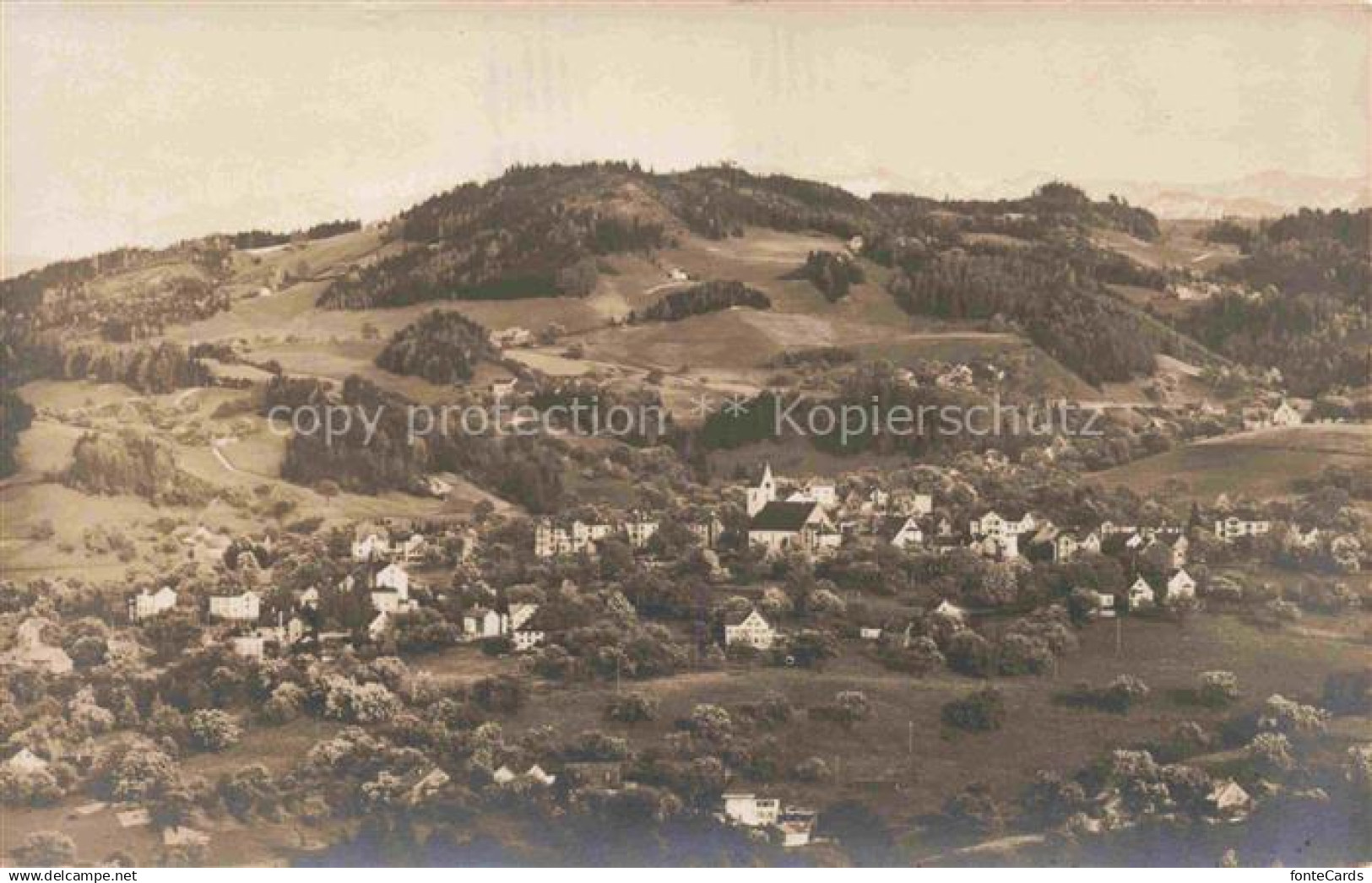 Wolfhalden Vorderland Appenzell AR Panorama