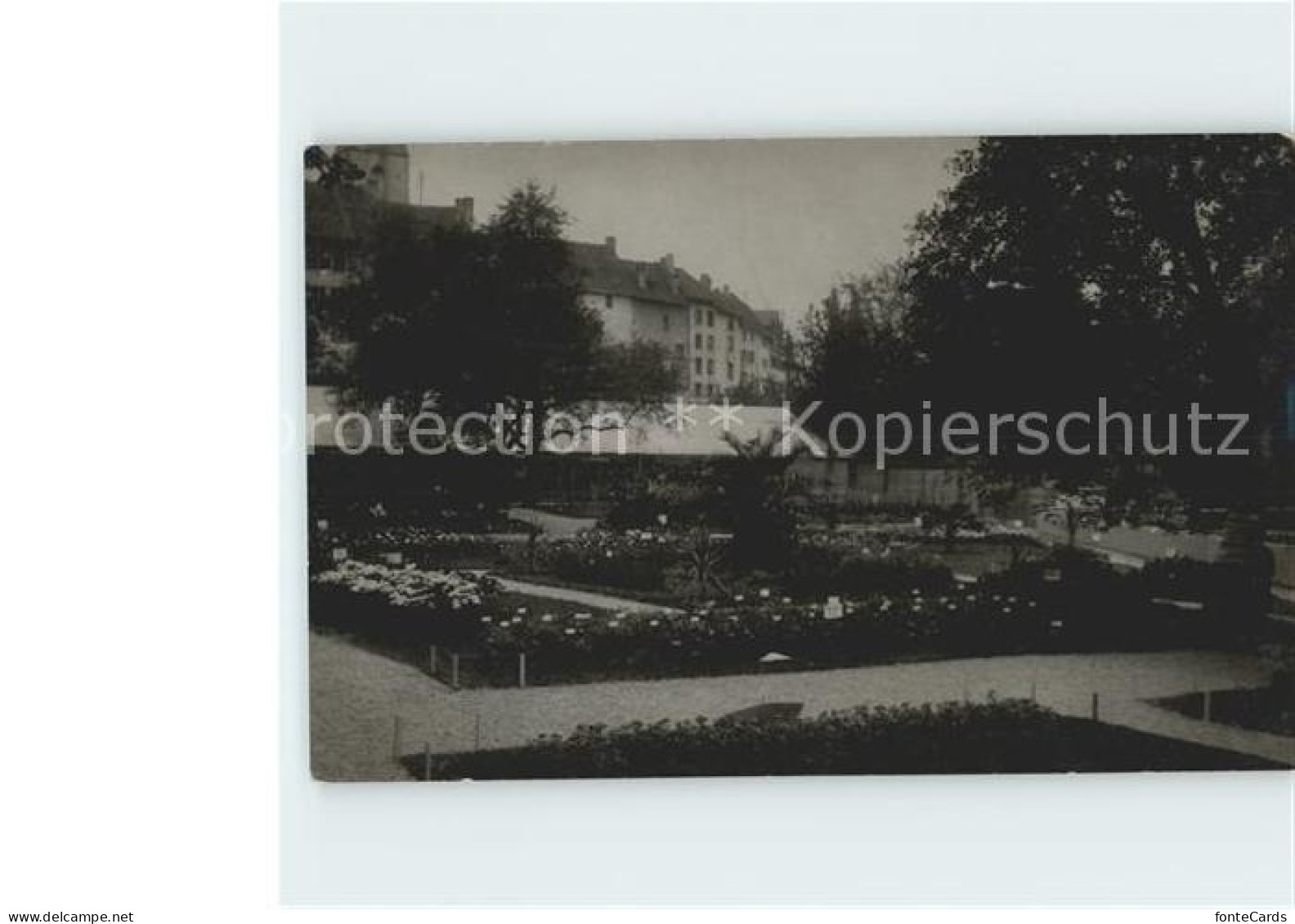 Wollishofen Stadtpark