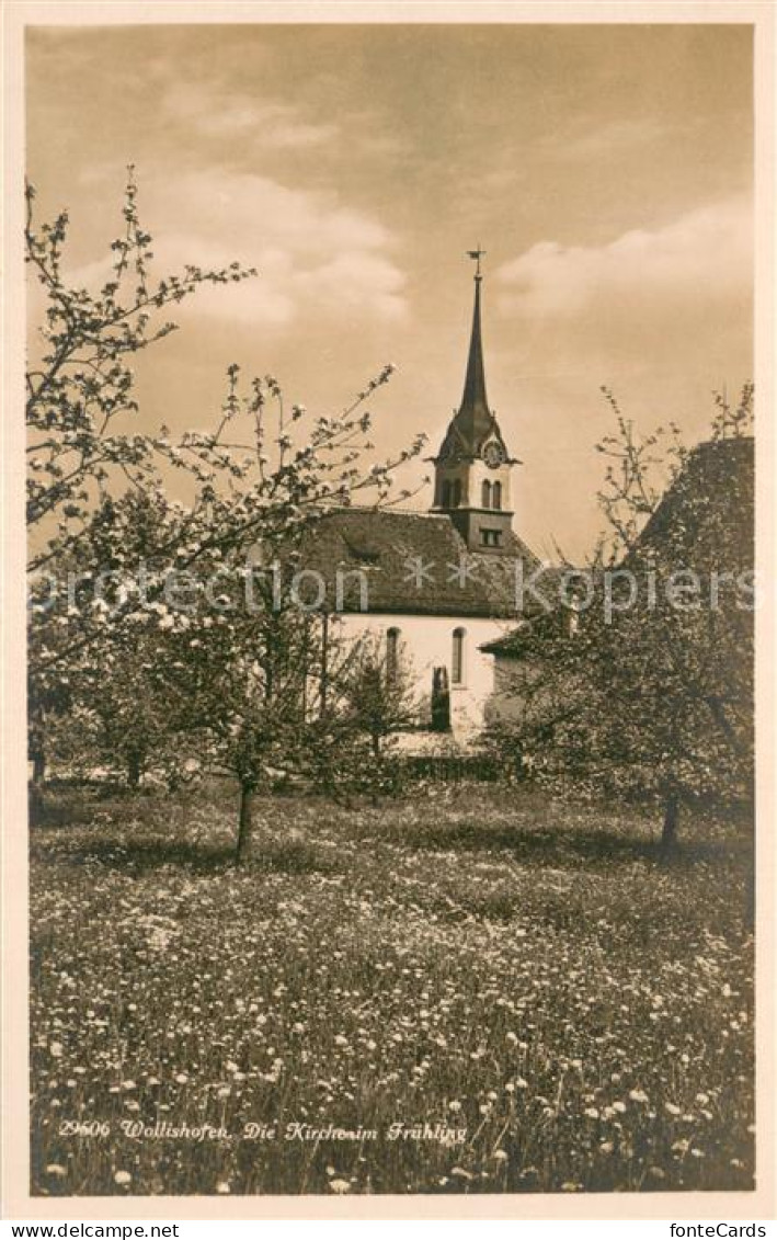 Wollishofen ZH Kirche im Fruehling