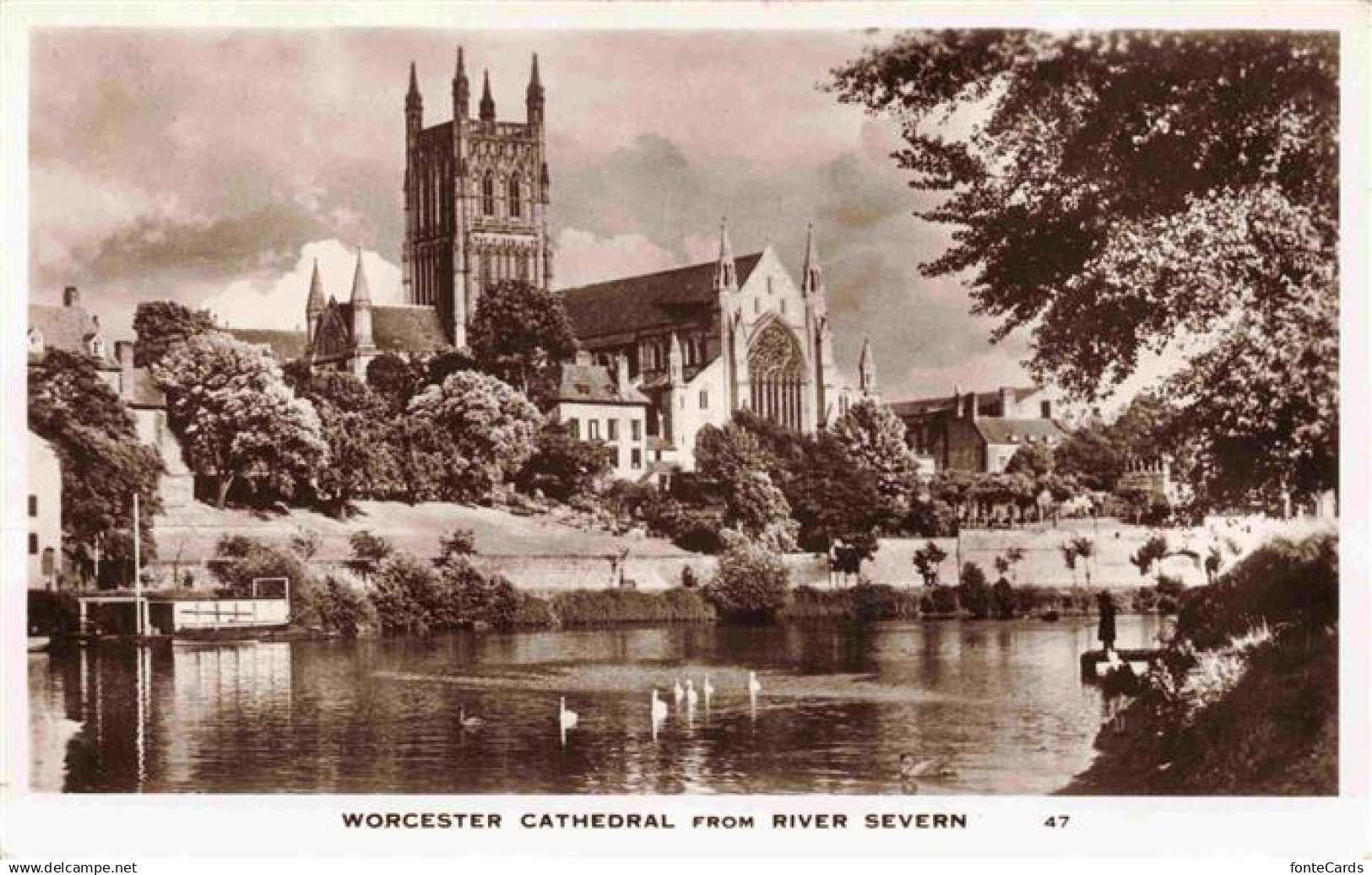 Worcester  UK Worcester Cathedral from River Severn