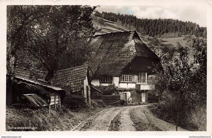 [-10%] MONDE - Schwazwaldhaus - Carte Postale Ancienne