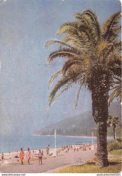 B83989 gagra georgia