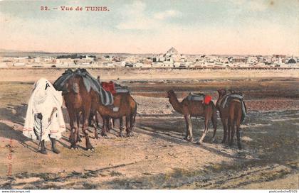 BF8743 vue de tunisia types camel    Tunisia