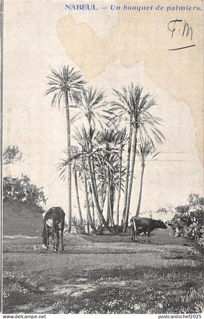 BF9222 nabul un bouquet de palmiers types tunisia    Tunisia