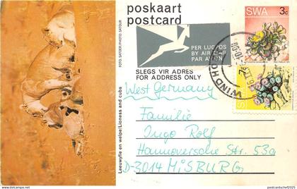 BG33850 swa lionness and cubs Swaziland africa