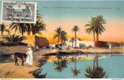 br104377 paysage du sud oasis de palmiers dattiers  africa algerie