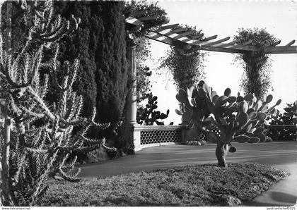 BR20093 Jardin exotique de monaco le plateau superieur Monaco