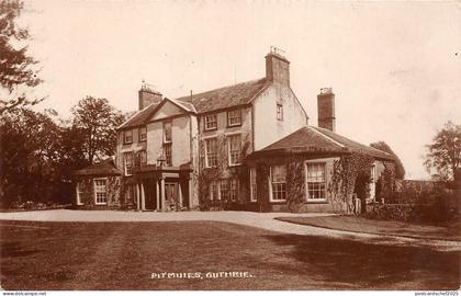 BR63996 pitmules guthrie real photo scotland