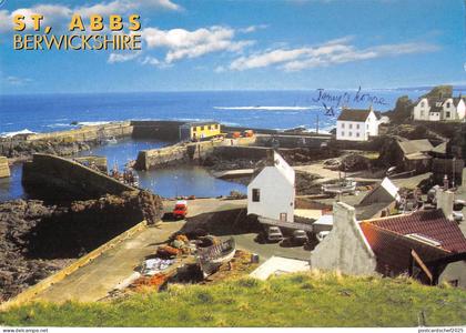 BR90033 st abbs berwickshire  scotland