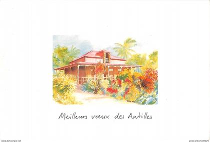 BT10646 meilleurs voeuaux des antilles  Caribbean   Antilles 1 2