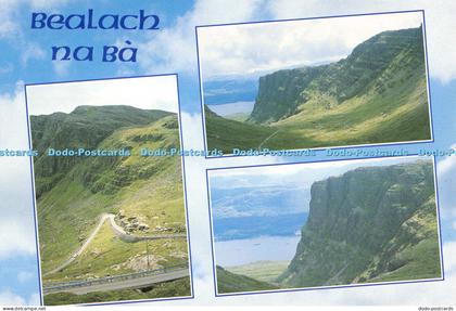 D007600 Bealach Na Ba. Cattle. Ross. Cromarty. Multiview. Mountains. Photography