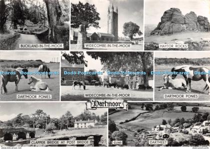 D036821 Dartmoor. Dartmeet. Dartmoor Ponies. Haytor Rocks. RP. Multi View. 1959