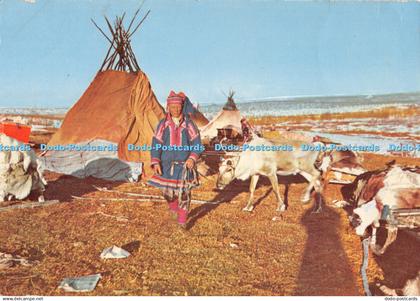 D106425 Norge. Same med rein pa Finnmarksvidda. Lapps or Laplanders. Norway. Fin