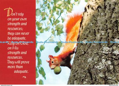 D124258 Draw Close to God Evangelical Sisterhood of Mary M Basilea Schlink