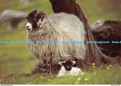 D128025 New Arrival Images and Editions Images of Britain Derek Harris