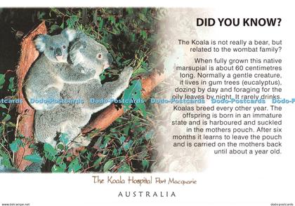 D133040 Koala Hospital Port Macquarie Australia Australian Wildlife Collection M