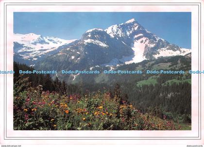 D133637 Lauenen Geltengletscher Spitzhorn Photoglob