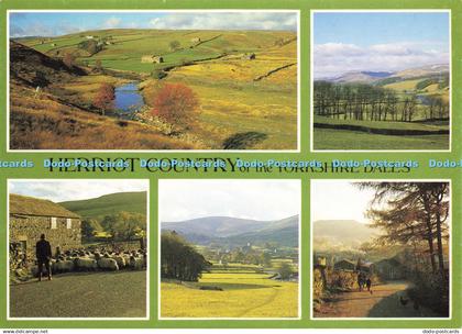 D143663 Herriot Country of Yorkshire Dales Yorkshire Dales National Park Judges