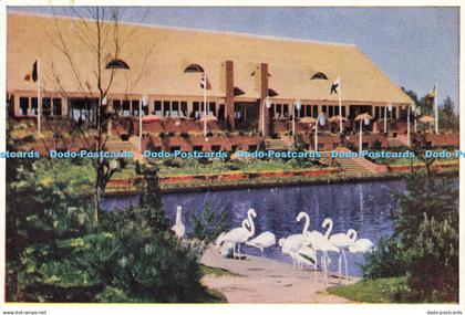 D156022 Holland. Avifauna. Alphen aan der Rijn. Restaurant Met Vijver. C. Haasbe