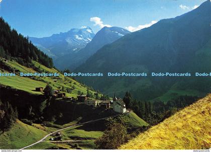 D165570 Binn. Wallis. Hillenhorn. Klopfenstein