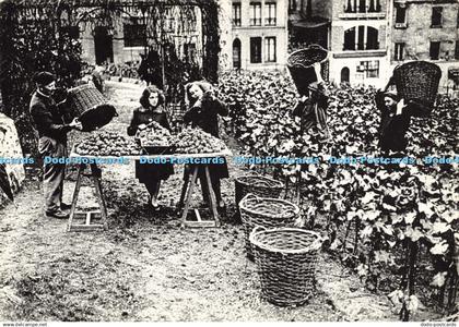 D180123 Paris. Vendanges rue des Saules a Montmartre. Roger Violet. Chantal. 199