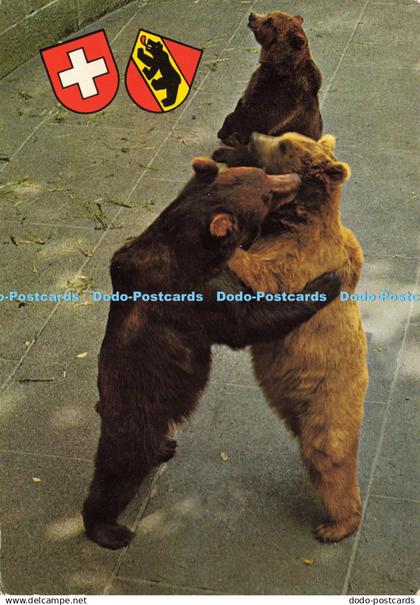 D192587 Berne Bear Pit