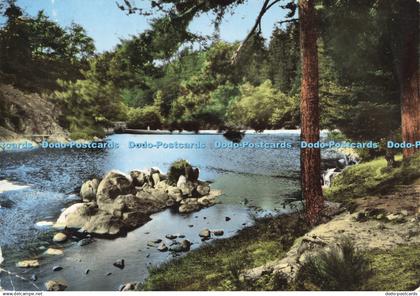 D195302 Le Chambon sur Lignon Le Bords du Lignon J Cellard 1961