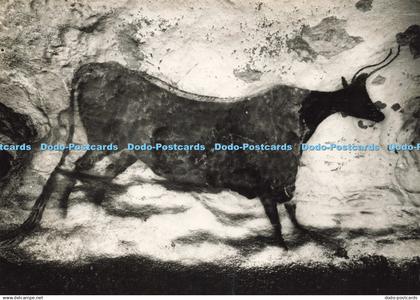 D196918 Grotte Prehistorique de Lascaux Montignac sur Vezere Windels