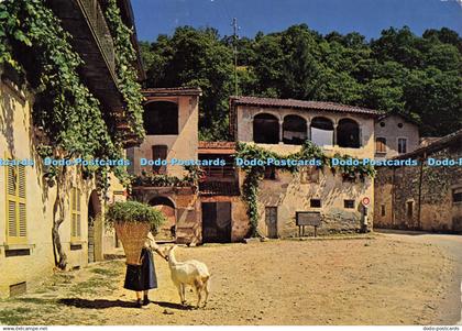 D201141 Sessa Malcantone Il Ticino Pittoresco Engelberger No 5637