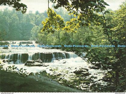 D202850 Yorkshire Aysgarth Falls Yorkshire Federation of Women Institutes