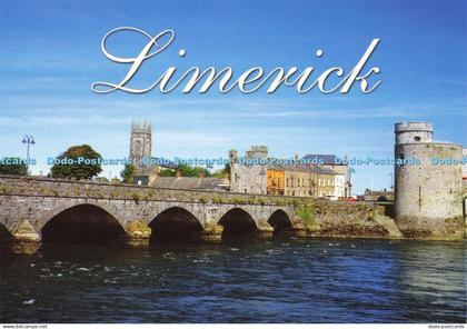 D202907 Limerick John Hinde Mike Galligan