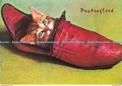 D205670 Pantouflard Irex Herve Donnezan