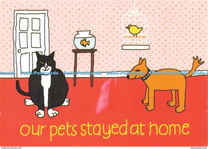 D206165 Our Pet Stayed at Home Aiken Graphics