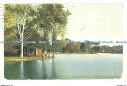 D207000 N Y Brooklyn View on Prospect Park Prospect Park Administrator Office Ce