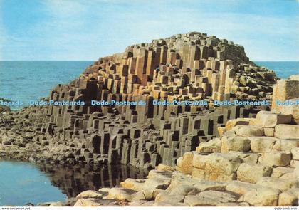 D212727 Co Antrim Giant Causeway Stewart Miller