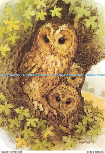 D213175 Tawny Owl and Young The Medici Society Ann Kearns Miss Katherine Gracey