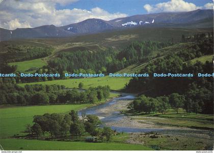 D217647 Cairngorm Mountains River Avon and Ben Avon Phil Banks