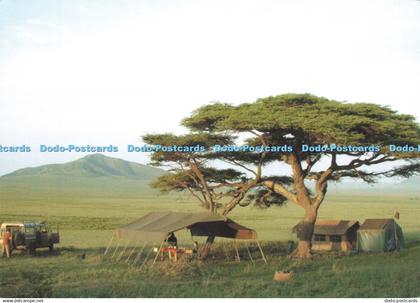 D219943 Tanzania Aardvark