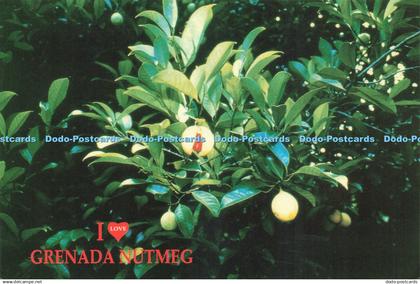 D220355 I Love Grenada Nutmeg West Indies Via Air Mail