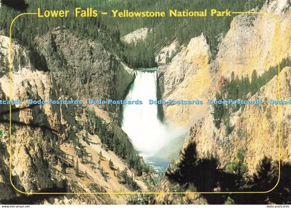 D222082 Yellowstone National Park Grand Canyon Lower Falls Italcards Lowell T Se