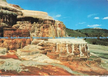 D222088 Yellowstone National Park Minerva Terrace Hamilton Stores