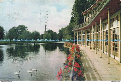 D222986 Stratford Upon Avon The Avon From Shakespeare Memorial Theatre Terrace J