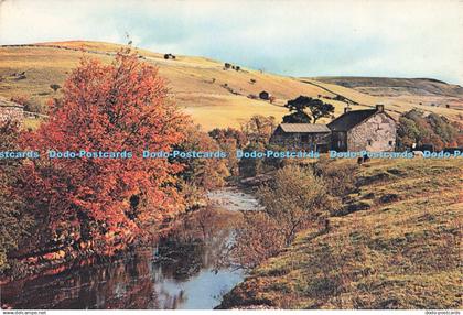 D224690 Yorkshire Swaledale The Homeliest of the Yorkshire Dales Where Fertile M