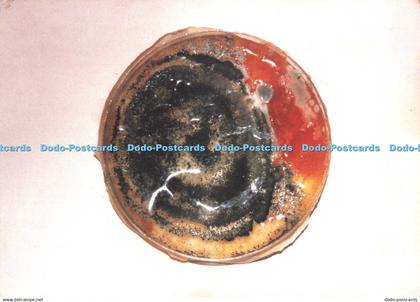 D225431 Tabitha Moore Churchill Cottage