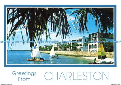 D230448 Greetings from Charleston Charleston Post Card Co