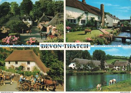 D231601 Devon Thatch Cockington Forge near Torquay Typical Devon Thatched Cottag