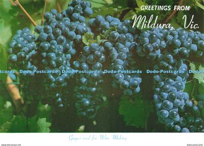 D231736 Vic Greetings from Mildura Grapes used for Wine Making Rose Stereograph