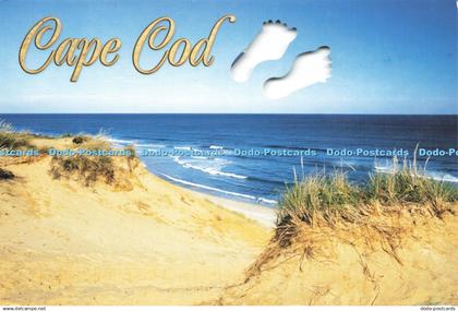 D232252 Cape Cod South Cape Distributors Dick McGee 2005