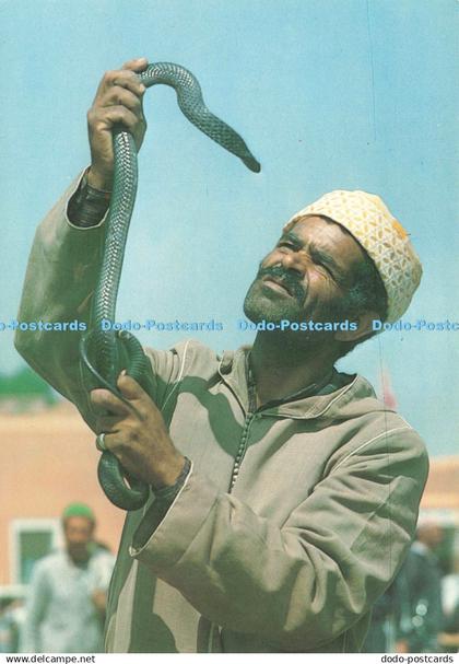 D238000 Marrakech Charmeurs de Serpents Color Marrakech