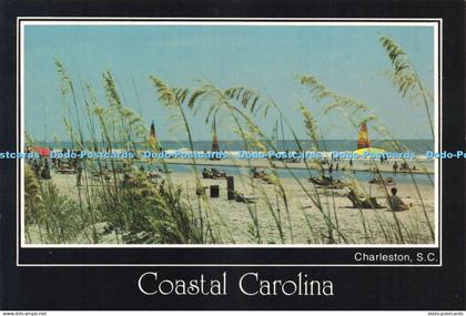 D239179 S C Charleston Coastal Carolina Charleston Post Card Plastichrome Bryan